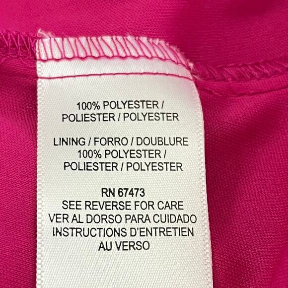 Taylor Pink Chiffon Clip-Dot Long Balloon Sleeve V-Neck Midi/Maxi Dress 6 NWT - Picture 11 of 14